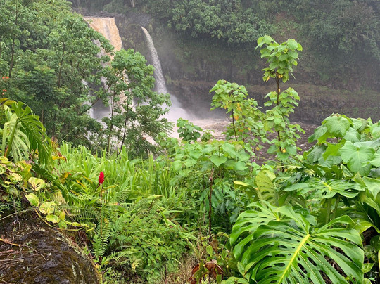 Mauka Makai Adventures-希洛必去景点