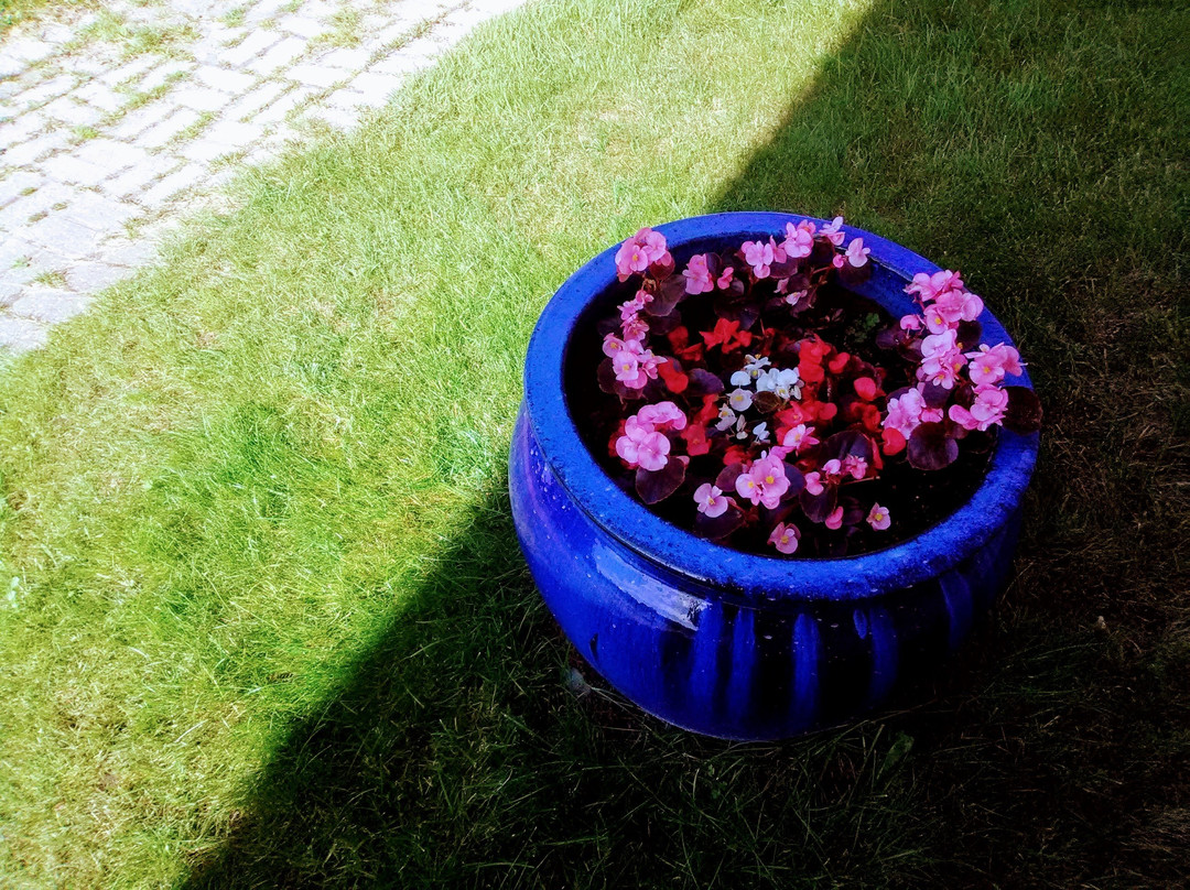 Ambassador Motel主图