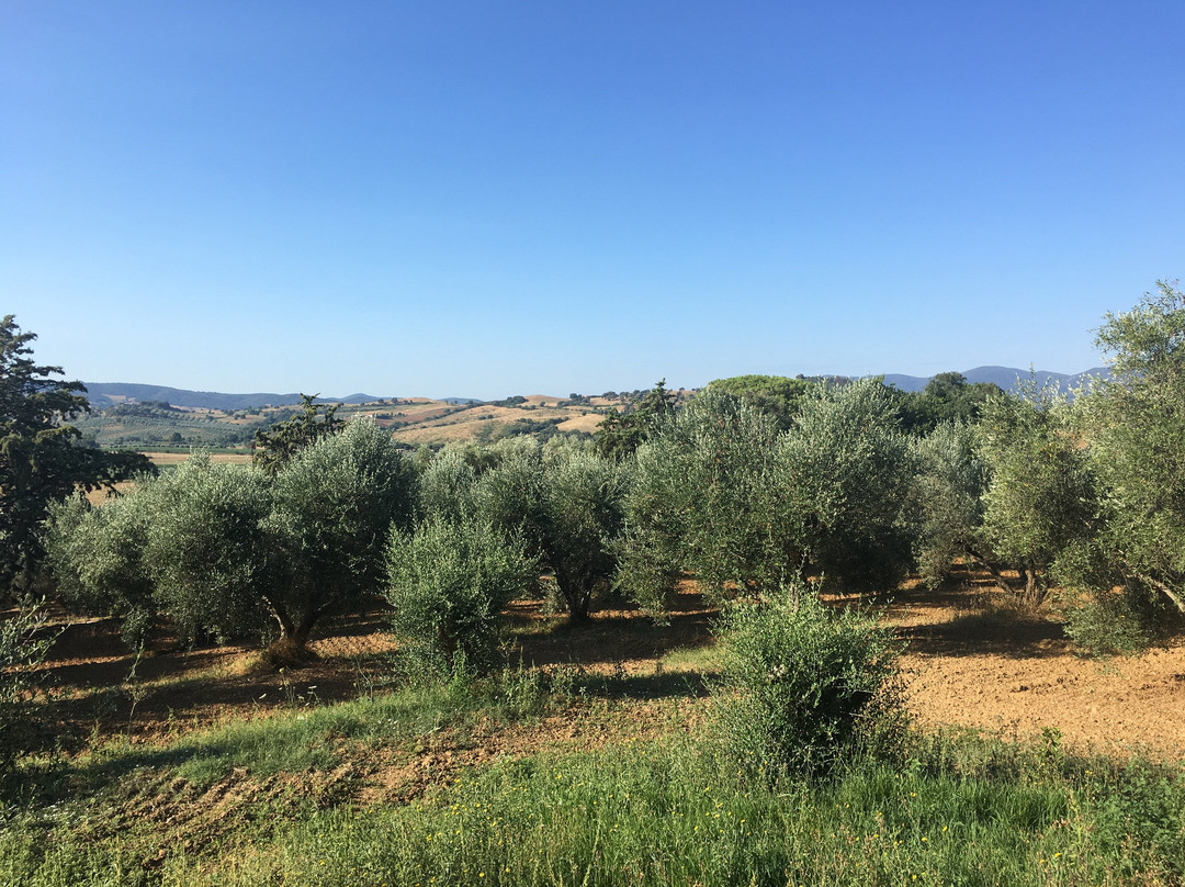 Agriturismo Il Cantiniere主图