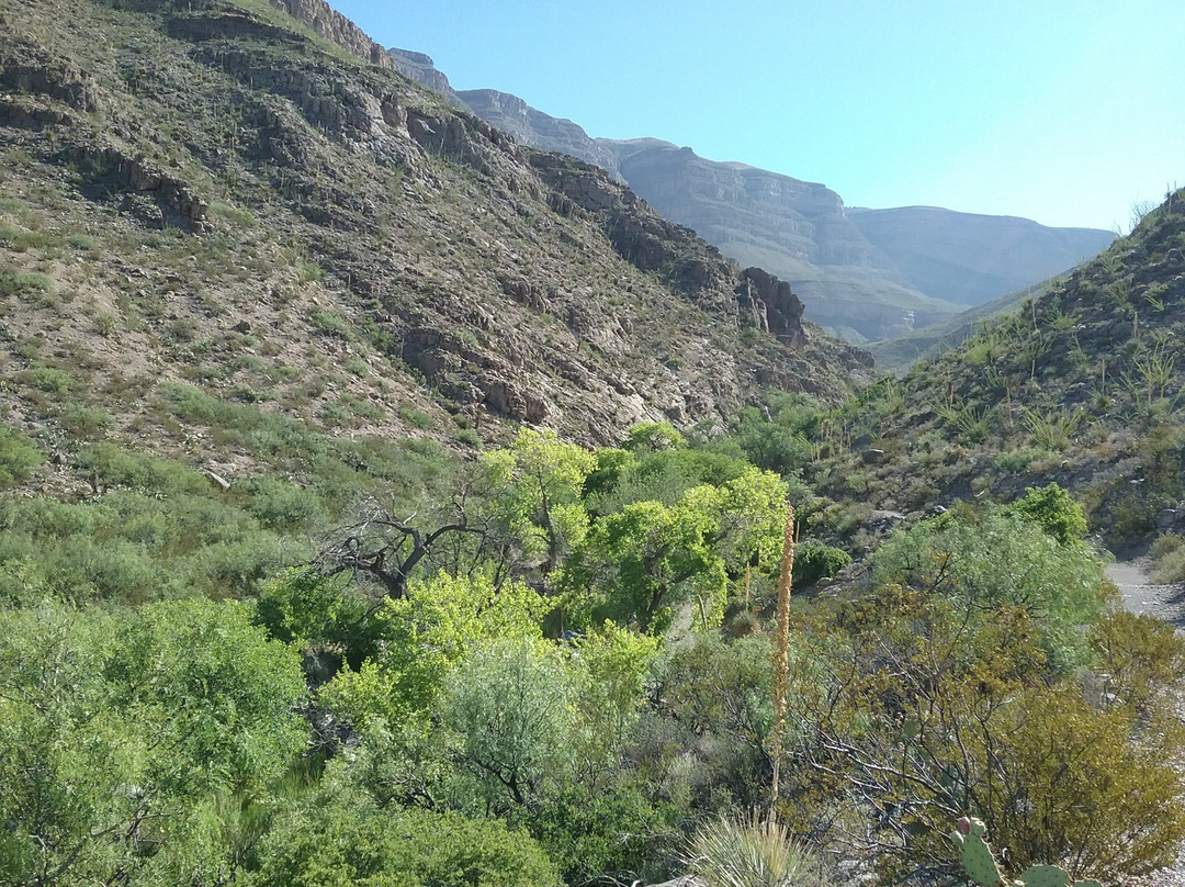 Oliver Lee Memorial State Park-阿拉莫戈多必去景点