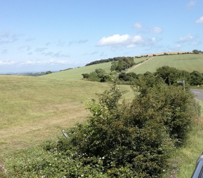 The Downs Breezer-赖德必去景点