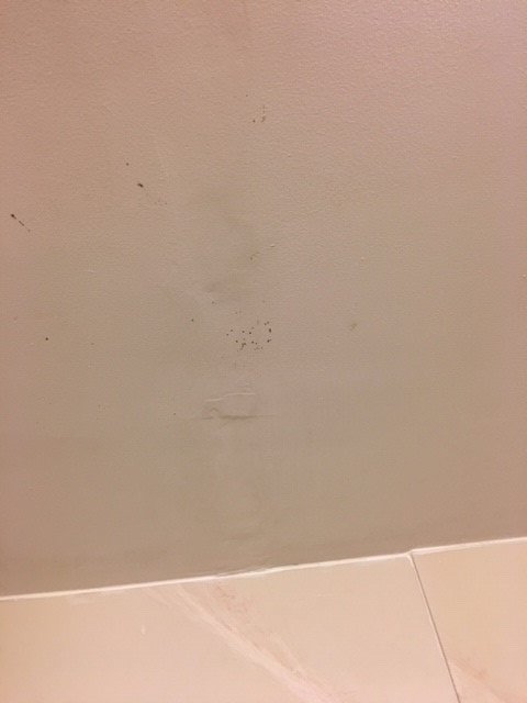 Hampton Inn & Suites Kalamazoo/oshtemo-浴室