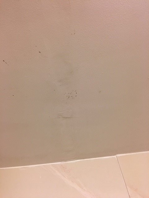 Hampton Inn & Suites Kalamazoo/oshtemo主图