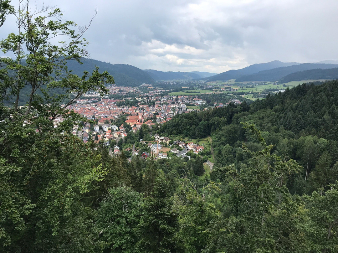 Baumkronenweg Waldkirch景点图片