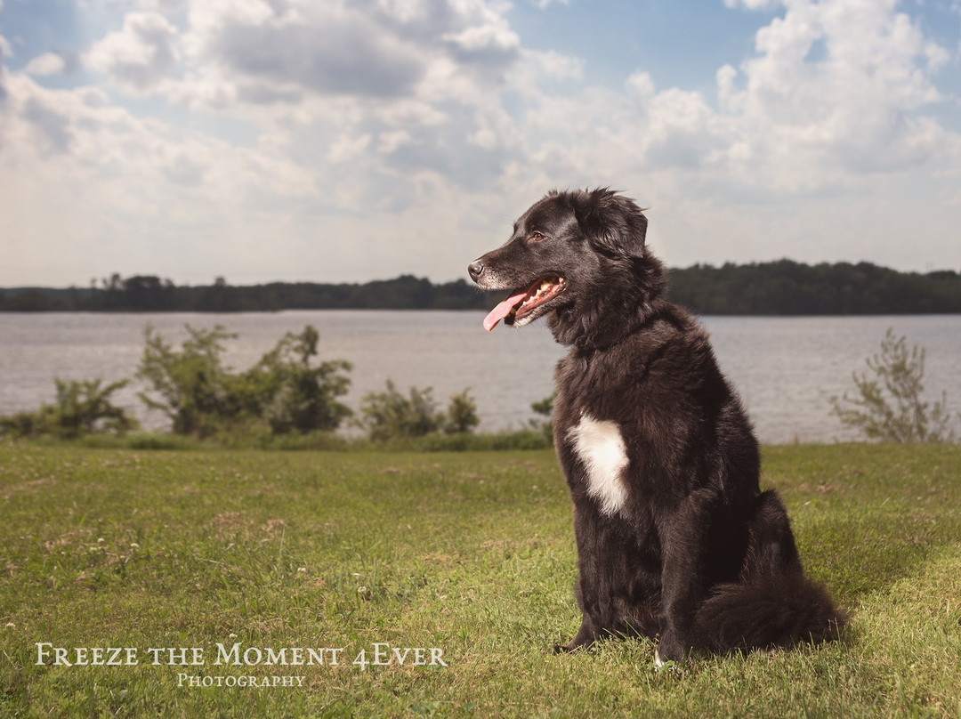 Rend Lake-Sesser必去景点