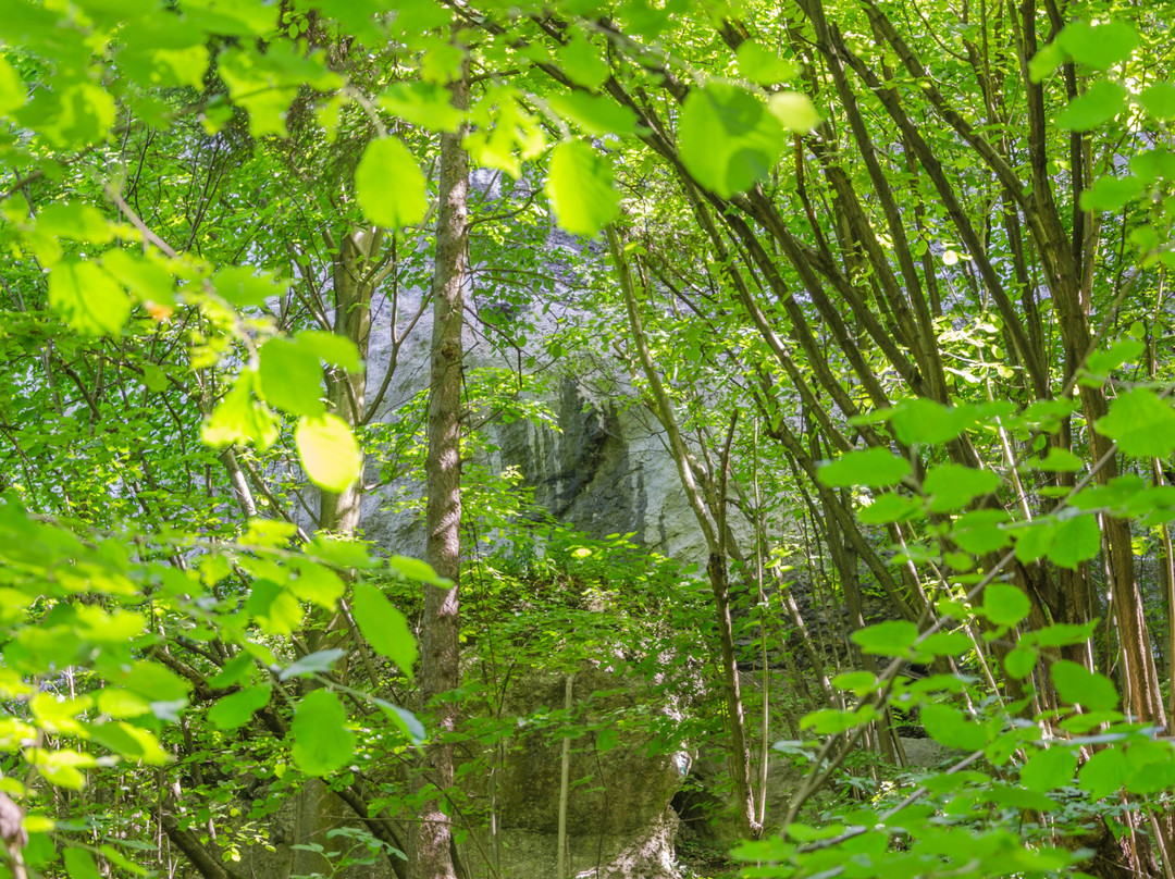 Zimny Dół - ścieżka dydaktyczna-Czułow必去景点