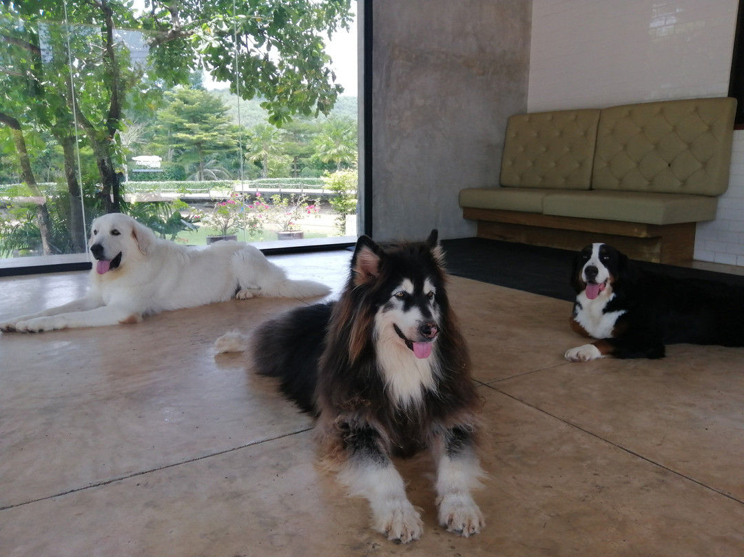Dogin景点图片