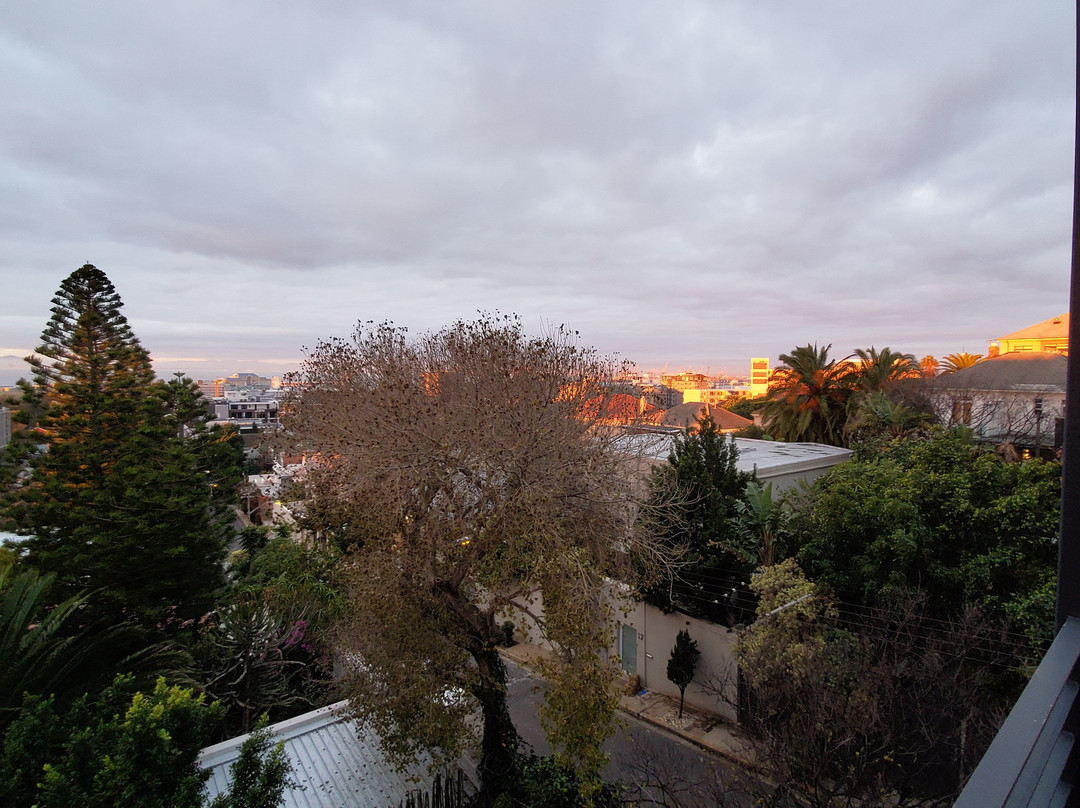 The Tree House Boutique Hotel主图