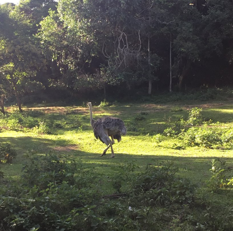 All Seasons Adventures Uganda-坎帕拉必去景点