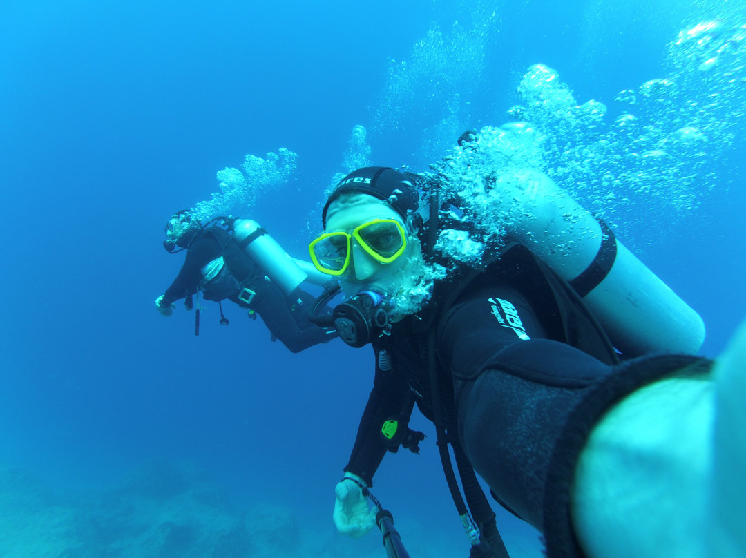 Nautilus Diving景点图片