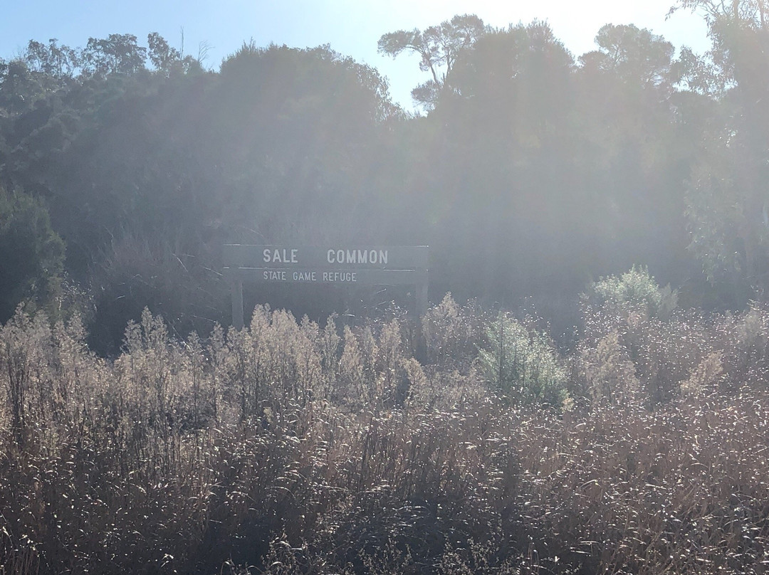 Sale Common Nature Conservation Reserve-塞尔必去景点