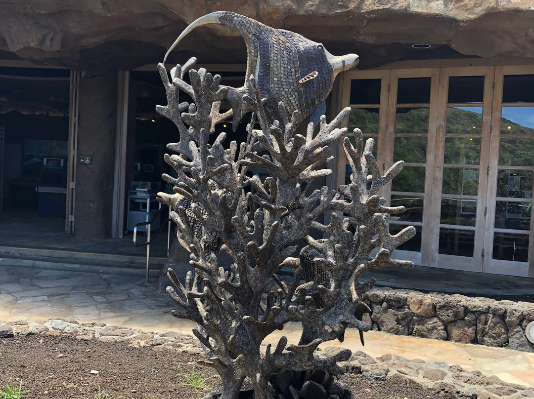 Snorkelfest Snorkel Hanauma Bay-火奴鲁鲁必去景点