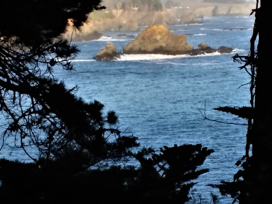 Whale Watch Inn By The Sea主图