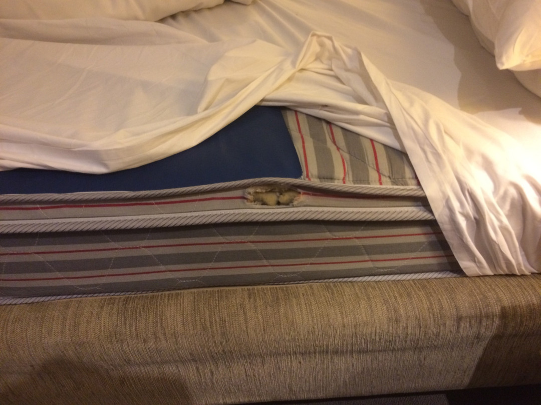 奇夫利东部海湾酒店主图