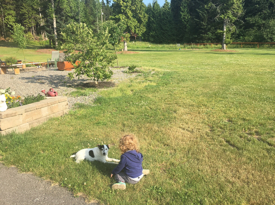 Remo Ridge B & B主图