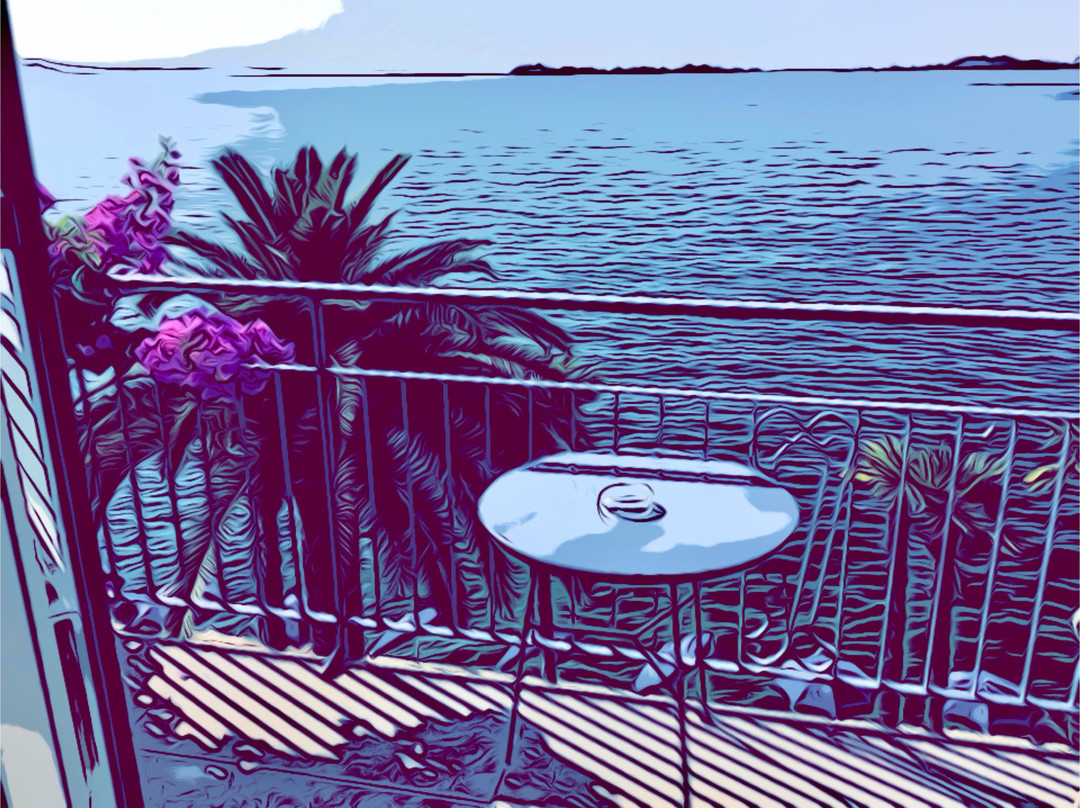 Hotel Monte Baldo e Villa Acquarone主图