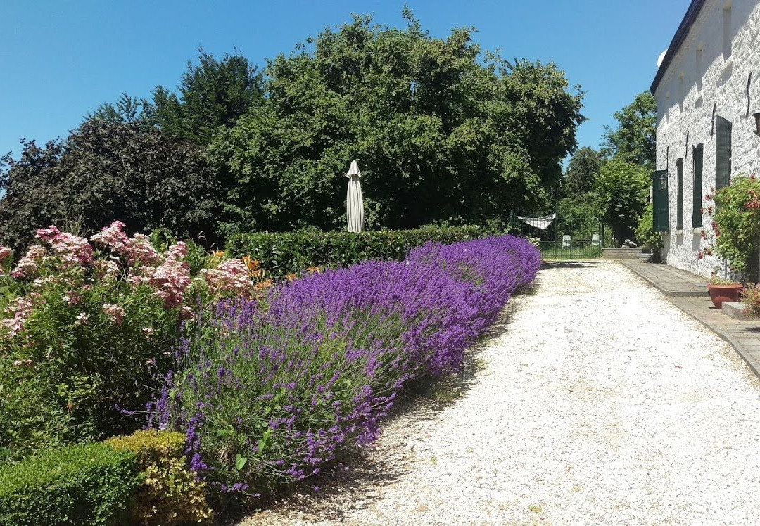 Gillishof Slowlife Holiday主图