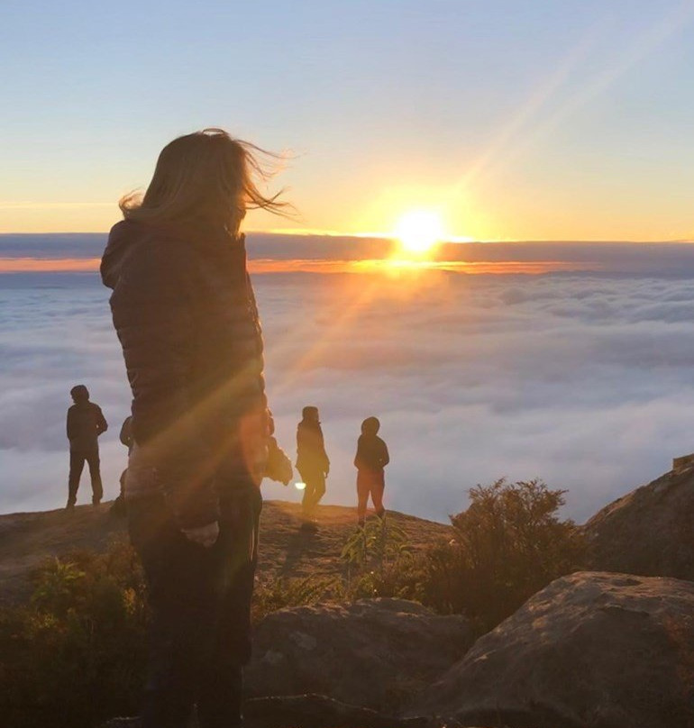 Pico do Papagaio景点图片