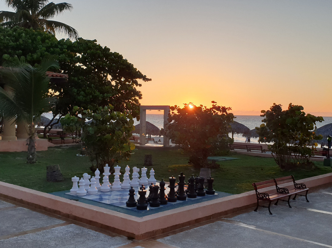 Starfish Cuatro Palmas主图