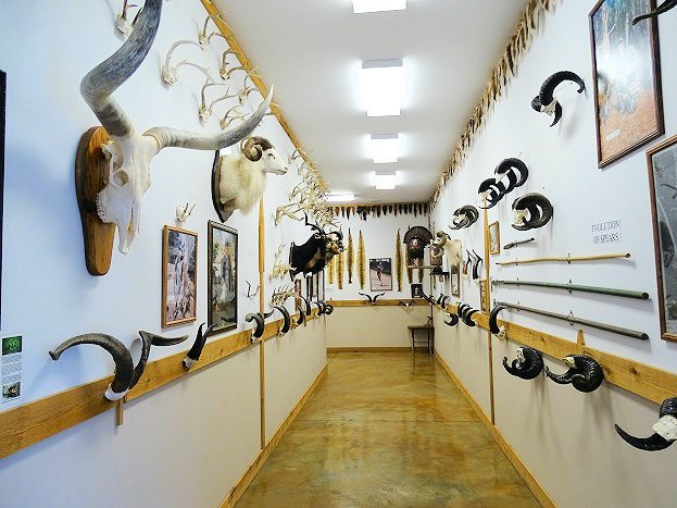 The Spear Hunting Museum-Summerdale必去景点