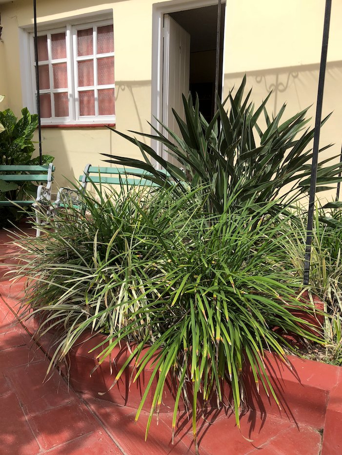 Hostal Los Torralbo-浴室