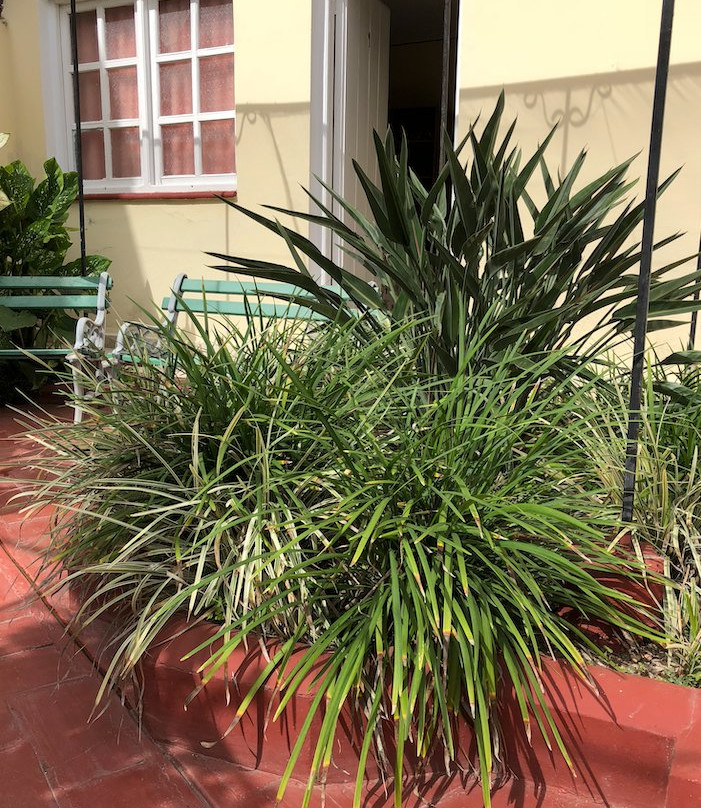 Hostal Los Torralbo主图