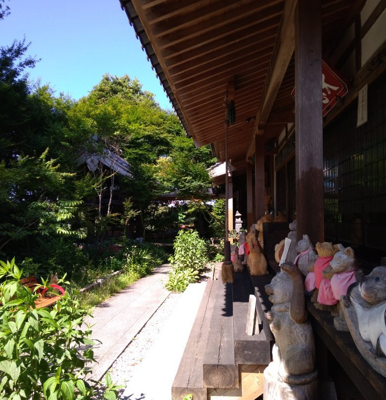 Unrin-ji Cat Temple-萩市必去景点