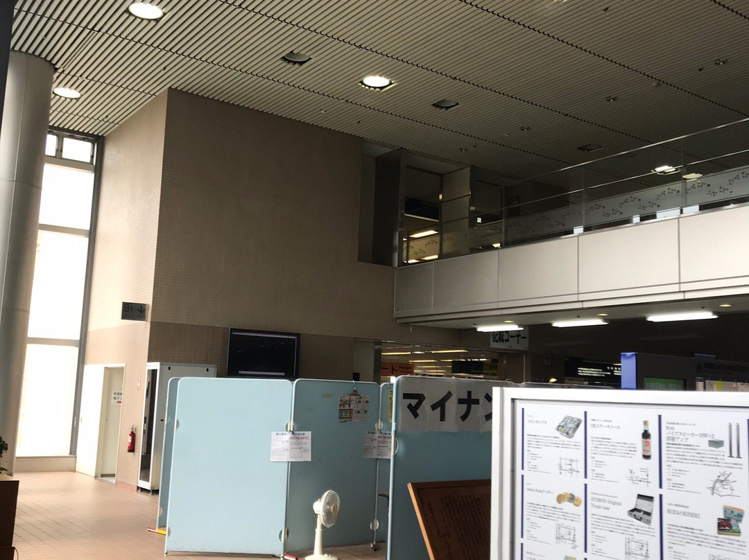 Okinawa City Hall Observation Decks-冲绳市必去景点