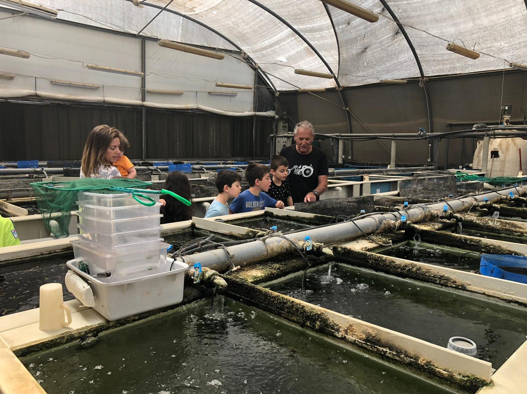 Ein Yahav旅游景点-Ginat Fish - Meshek Ginal