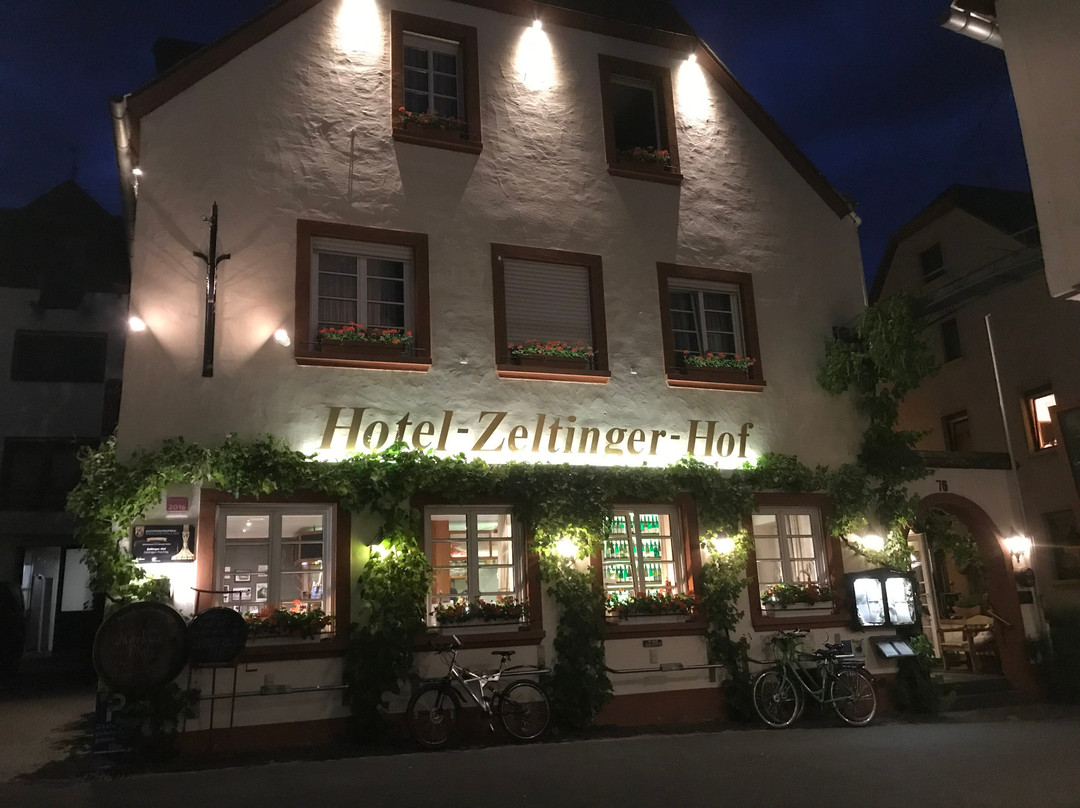 泽尔汀根酒店主图
