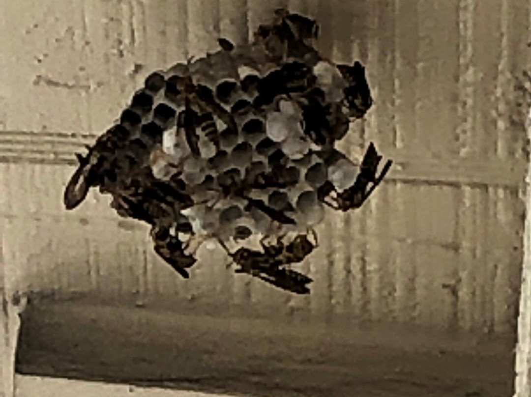 Best Western Garden Inn主图