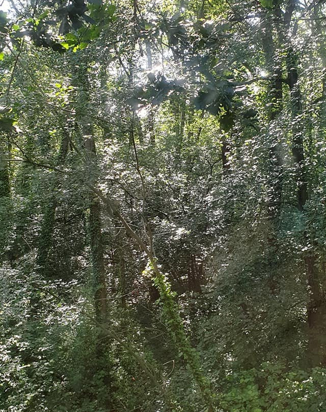 Marwell Hotel Winchester South主图