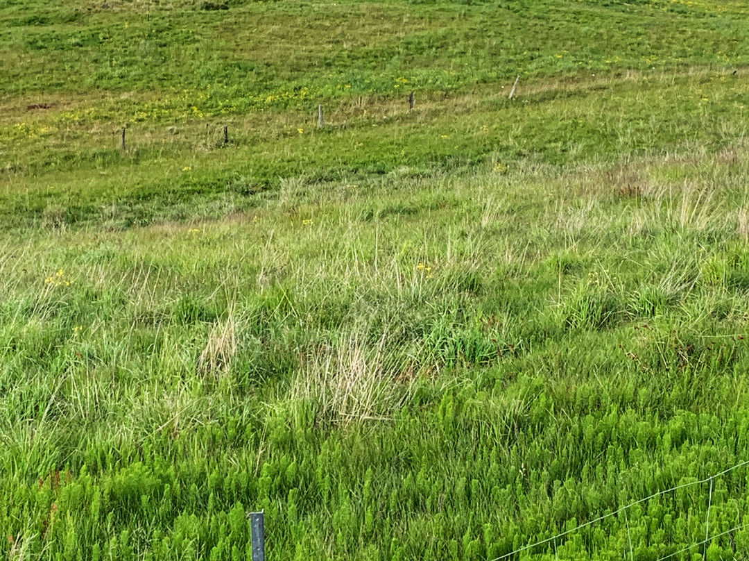 Hellnar Church-Hellnar必去景点