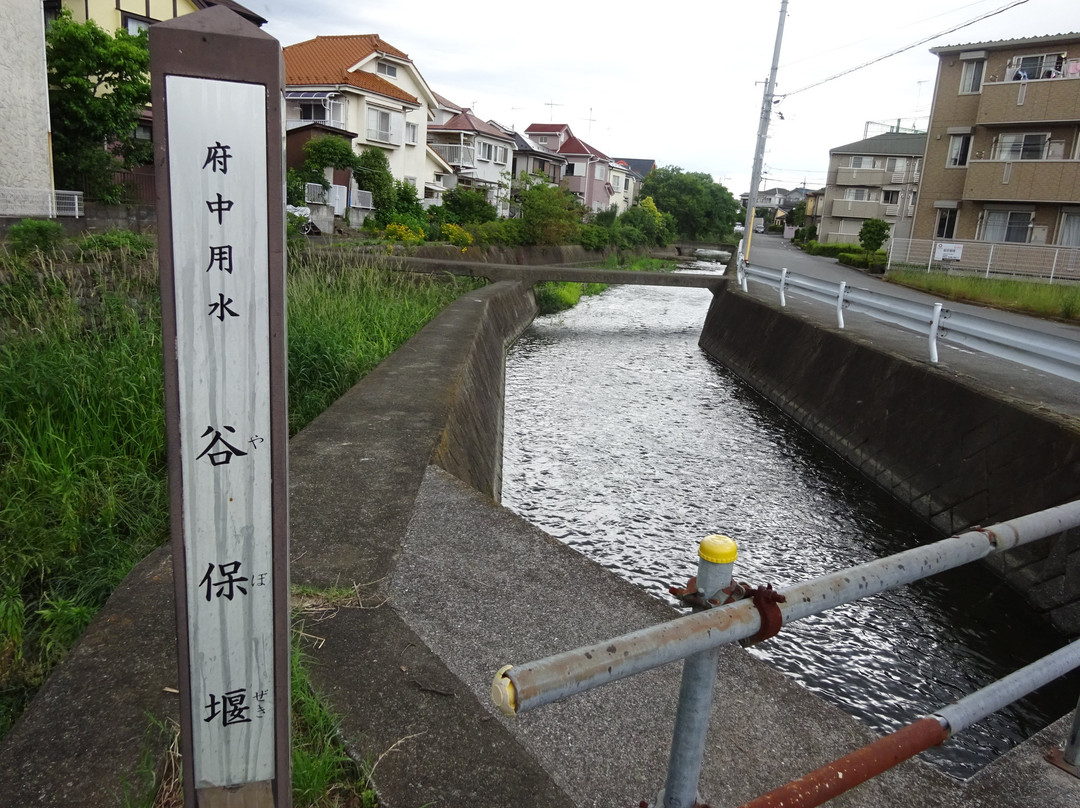 Yahoseki-国立市必去景点