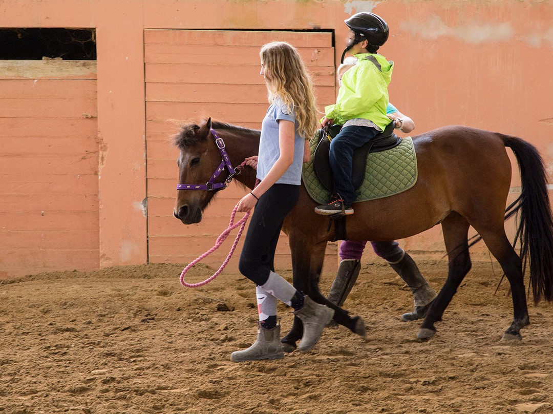 Silvaland-Kalafationes必去景点