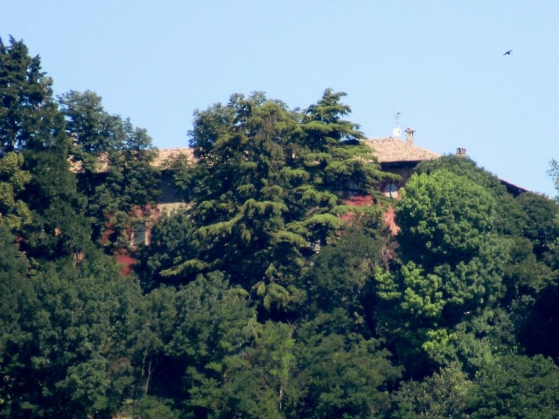 Castello di Sala Mandelli景点图片