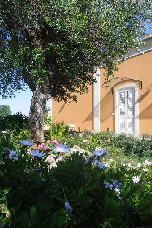 Agrihotel -Tenuta Masseria Del Gallo主图