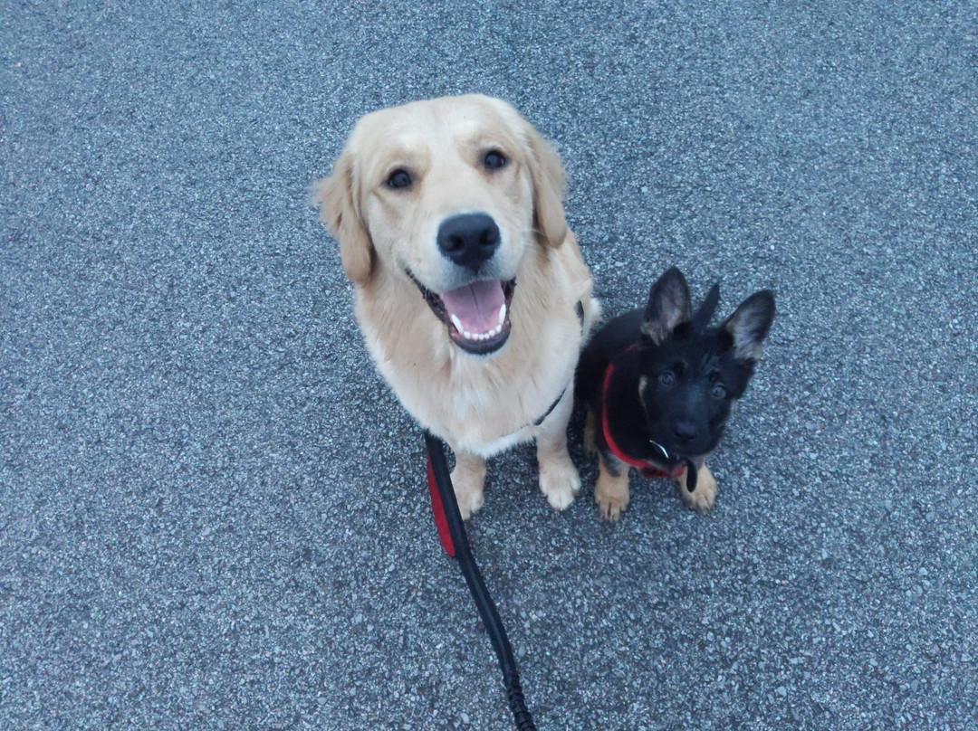 Discovery Center-默弗里斯伯勒必去景点