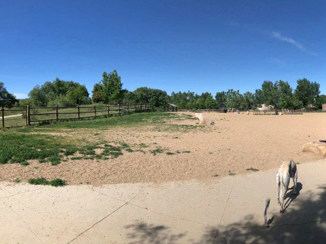 Valmont Bike Park-博尔德必去景点