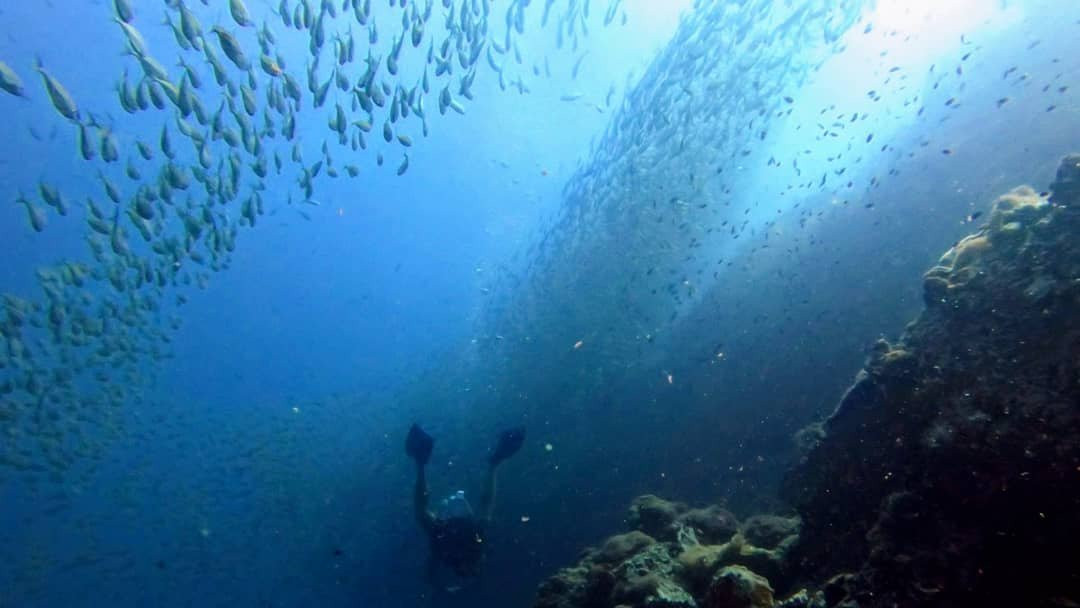 Sail Rock (Dive Site)-涛岛必去景点