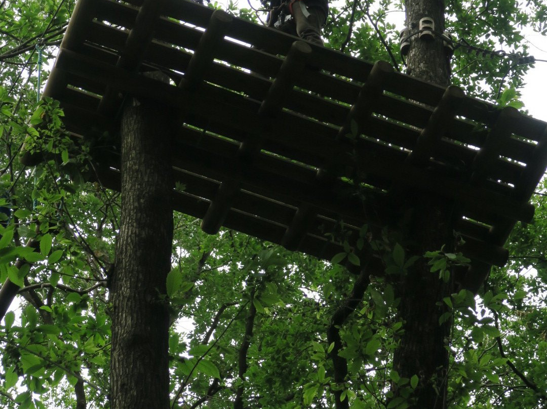Sherwood Parc景点图片