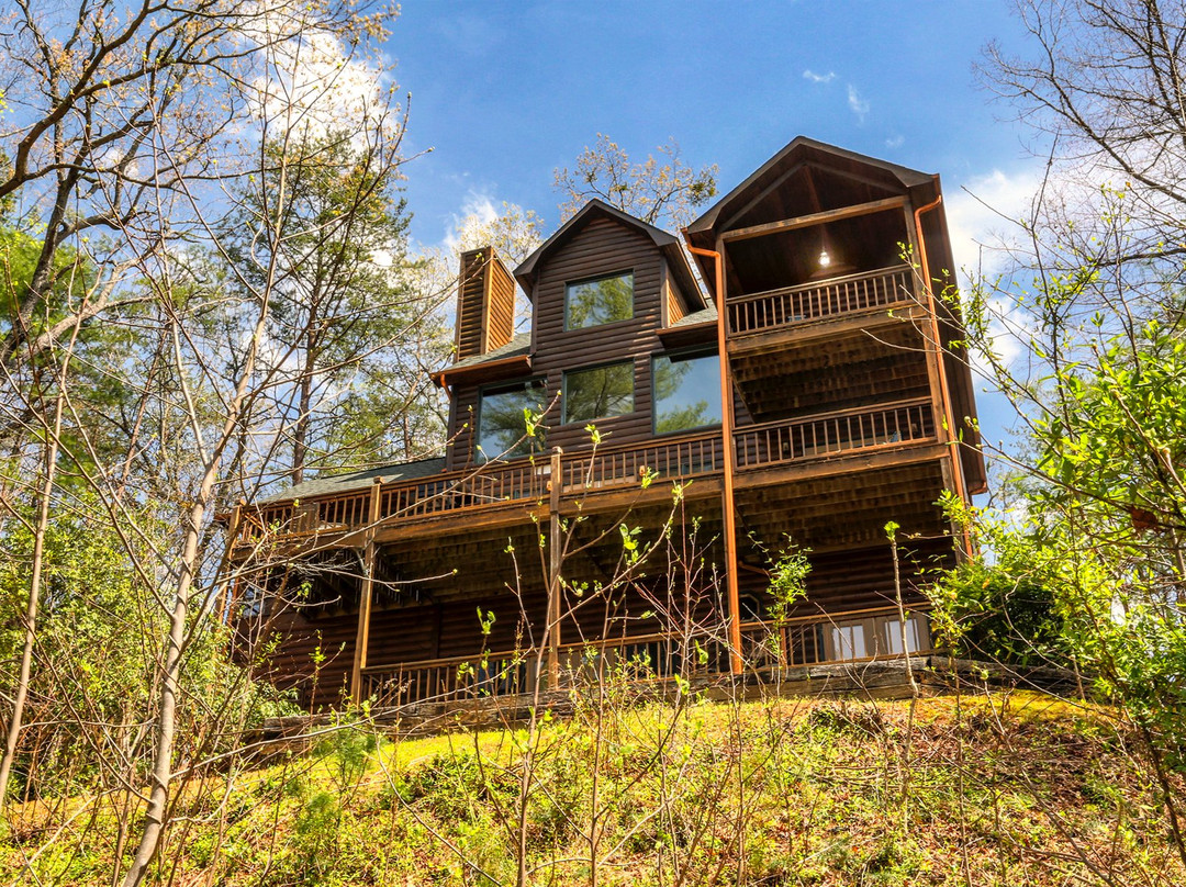 Above the Rest Luxury Cabins