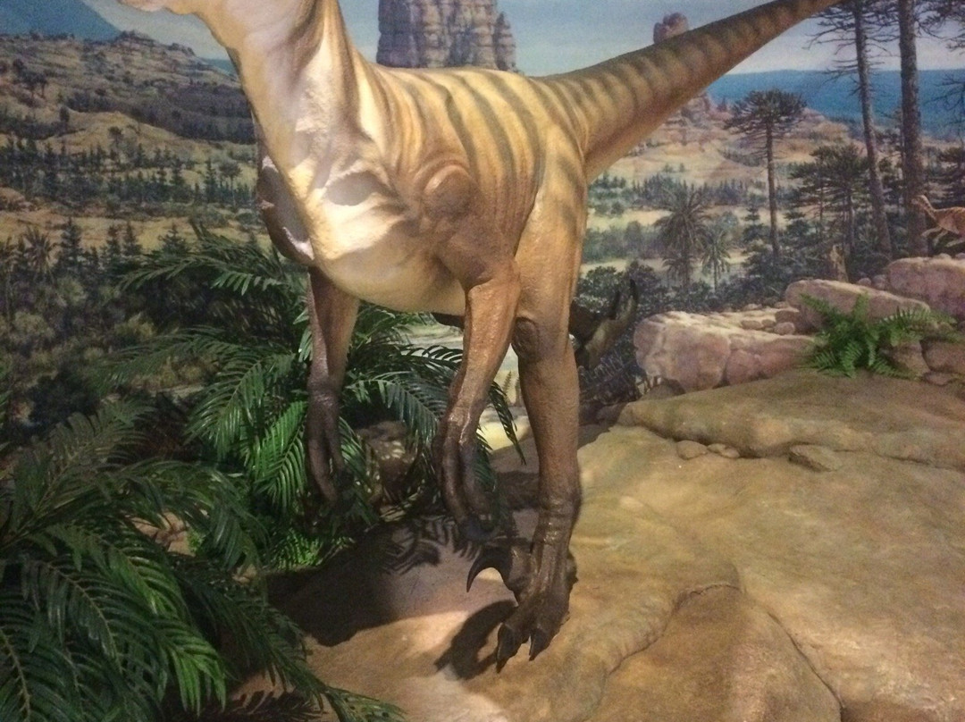 Kenosha Public Museum-基诺沙必去景点