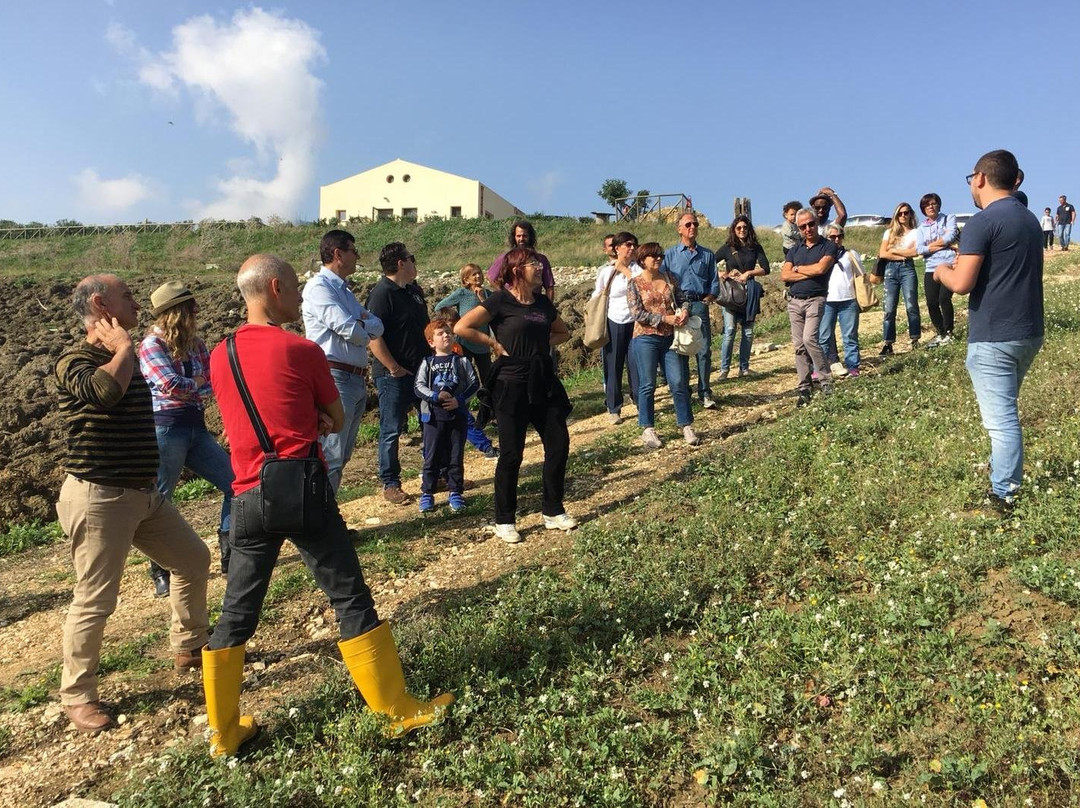 Azienda Agricola Bioviola & Sicilì Bottega Biologica-Alcamo必去景点