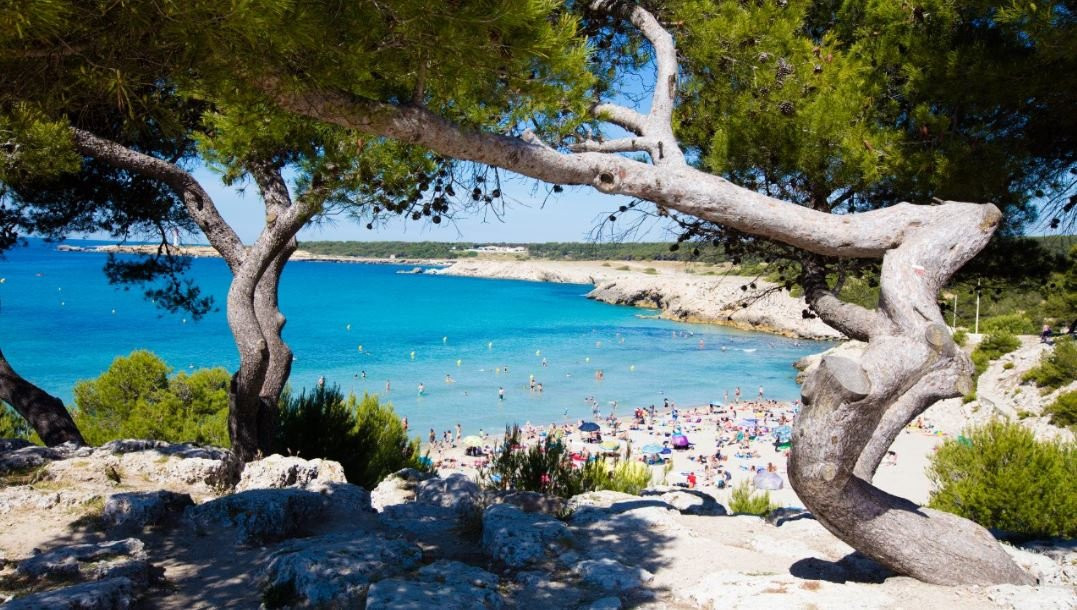 Camping Pascalounet
