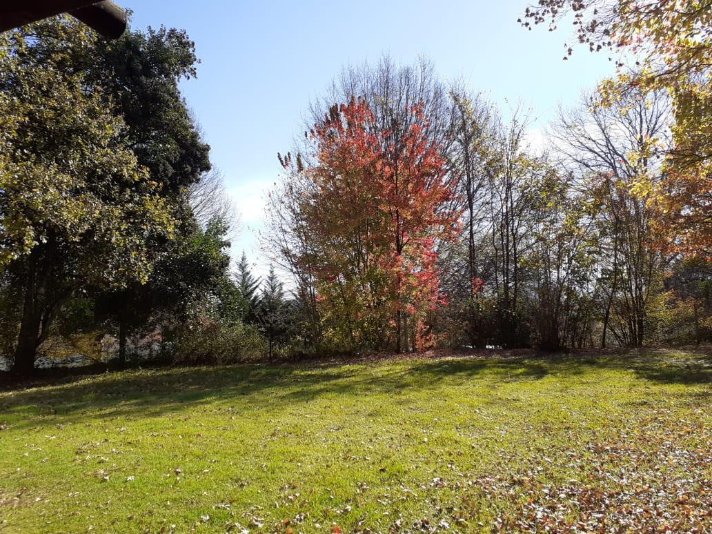 Himeville Arms主图