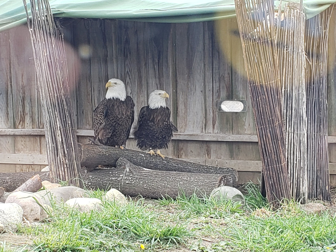 Columbian Park Zoo-拉斐特必去景点