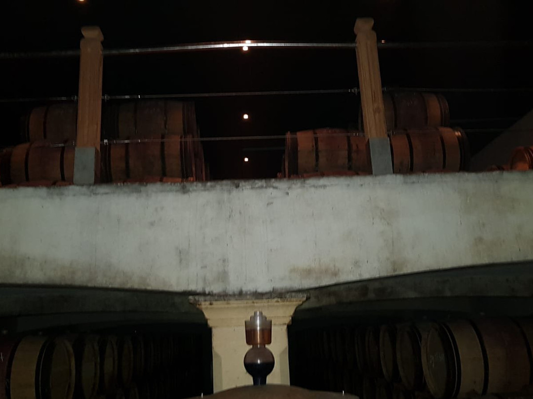Chateau Poitevin景点图片