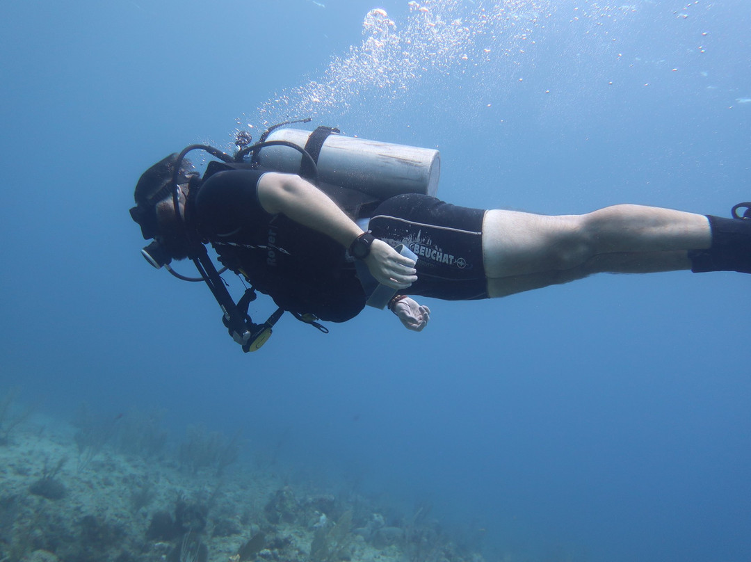 Eco Diving Cuba景点图片