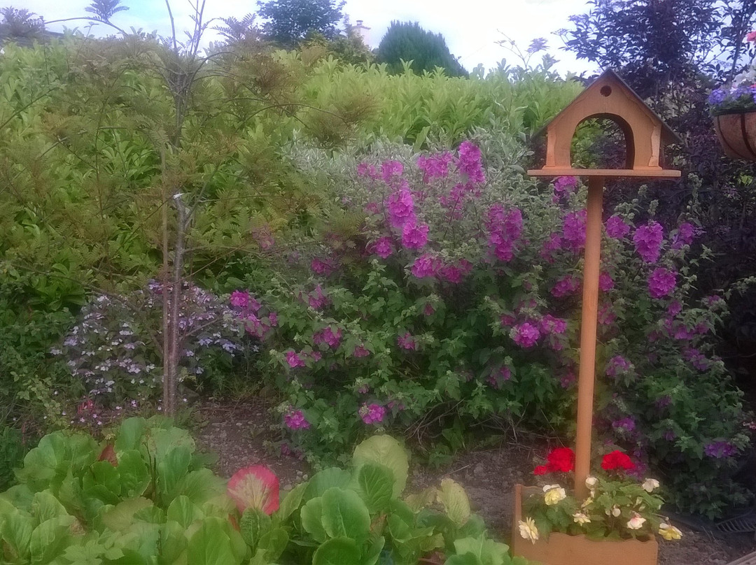Longford Garden Centre